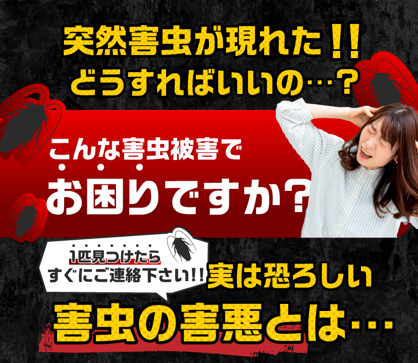 突然ゴキブリが現れた!どうすればいいの…?こんなゴキブリ被害でお困りですか?1匹見つけたらすぐにご連絡ください!実は恐ろしいゴキブリの害悪とは…